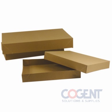 Apparel Box 624 Rec Kraft Pin 24x14x4 2pc 25/cs