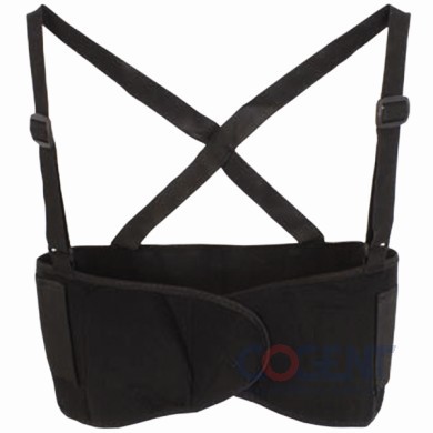 Back Support Large w/Detachable Suspenders SAF