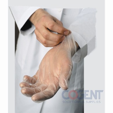 Glove Vinyl X-Lrg PF Clear 1m/cs GVP9-XL-1